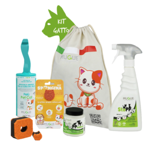 Kit Gatto Transparent