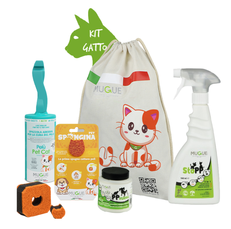 Kit Gatto