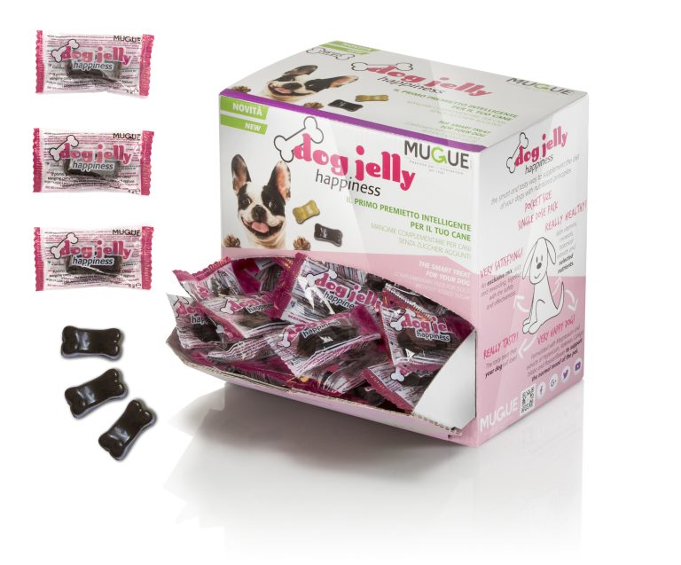 Dog Jelly Happiness