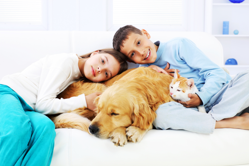 Perché è importante spazzolare il cane?