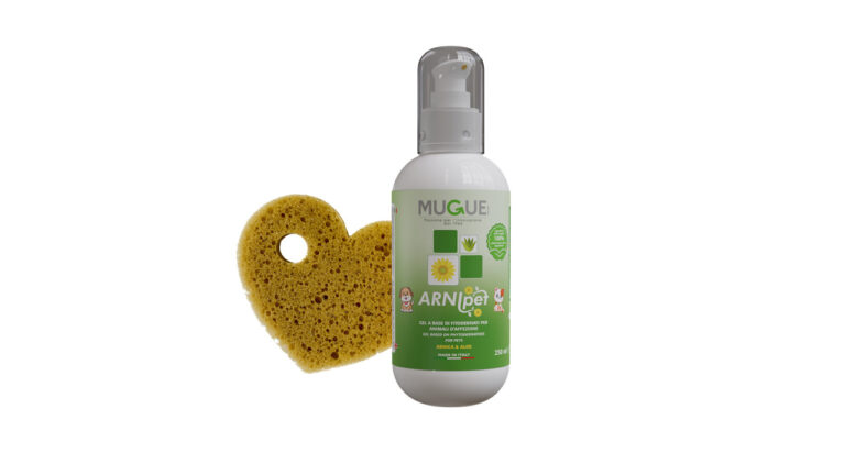 Arni+spugnetta