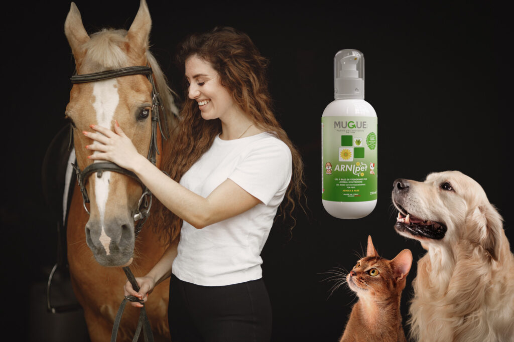 Arnica for cats outlet